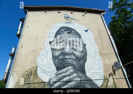 The huge painting of an old woman with a bird on a side of otherwise ordinary old apartment building in Kaunas city (Lithuania). Stock Photo