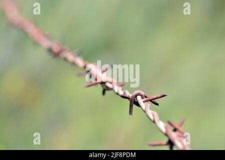 Alambre de espino Stock Photo