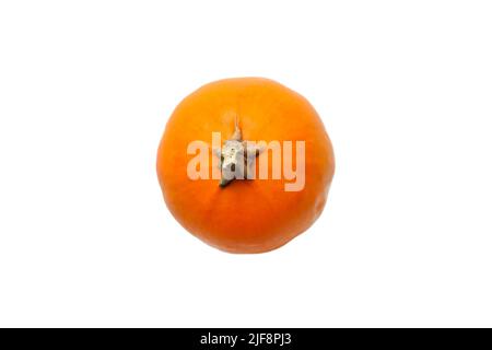 Pumpkin isolated on white background top view. Halloween concept. Stock Photo
