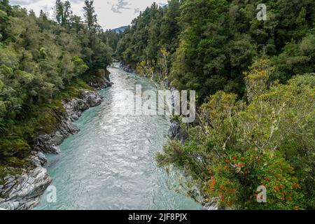 Hokitika River flowing to coast through steep Hokitika Gorge between rock sides and native forest and red rata flower, South Island New Zealand Stock Photo