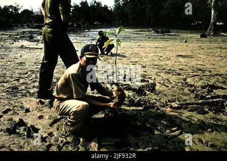 A local government official planting a mangrove tree on a mangrove rehabilitation area during a media visit arranged by The Nature Conservancy and WWF-Indonesia in  in the coastal village of Tanjung Batu  in Berau, East Kalimantan, Indonesia. The country's mangroves have suffered for decades because of a disconnection between their real value and government policies and institutions, a report by Benjamin Brown and Satyawan Pudyatmoko has revealed, as published on The Conversation on June 22, 2022. Stock Photo