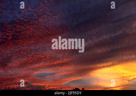 Cloud and sky with a pastel colored background Stock Photo