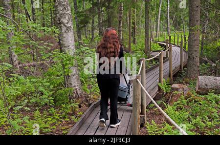 Umea, Norrland Sweden - June 17, 2021: big sister pulls pram through dense forest Stock Photo