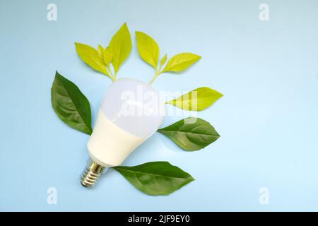 Save electricity, lights off, idea and innovation environmental conservation concept. Light bulb with fresh green leaves flat lay. Stock Photo
