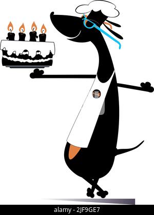Smiling dog a cook holds a holiday cake illustration. Funny dachshund a cook holds a holiday cake decorated with candles isolated on white Stock Vector