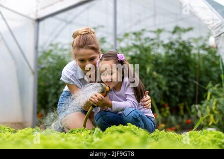 Happy family working in organic greenhouse. Woman and child growing bio plants in farm garden. Stock Photo