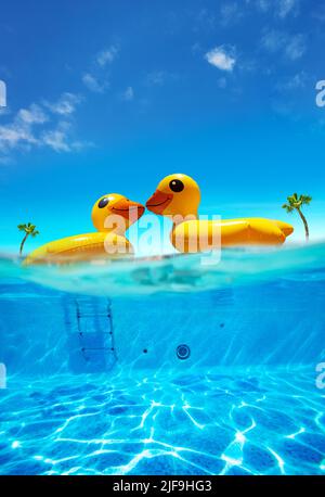 Two kissing half inflatable swimming ducks underwater split shot Stock Photo