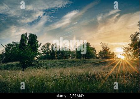 Sunset over a grassy landscape bordered by a forest. Stock Photo