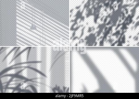 Shadow of foliage and blinds on white wall realistic set isolated vector illustration Stock Vector