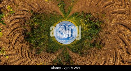 blue sphere reversed little planet view of yellow blossoming rapeseed field, round tunnel view. Stock Photo