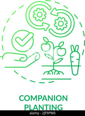 Companion planting green gradient concept icon Stock Vector