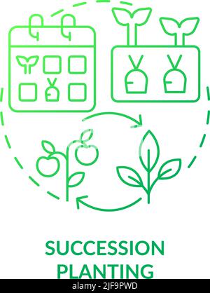 Succession planting green gradient concept icon Stock Vector