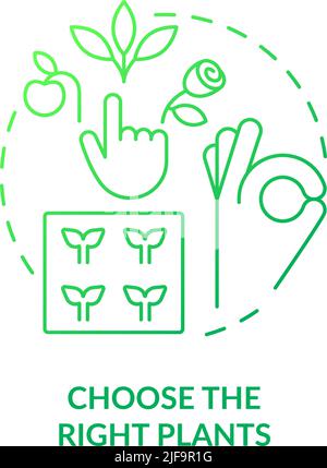Choose right plants green gradient concept icon Stock Vector