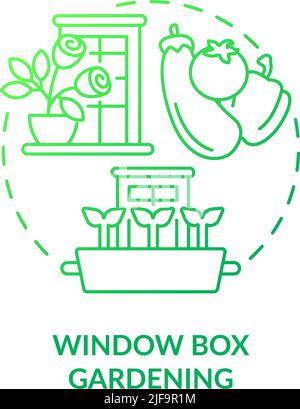 Window box gardening green gradient concept icon Stock Vector