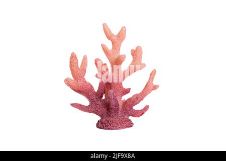 Pink decorative coral isolated on white background. perspective view. Stock Photo