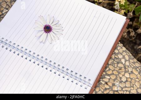 Herbarium: Dried Flower Book. Notebook of Botanical Specimens from a Little Botanical School Pupil. Stock Photo