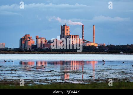 Cementa cement plant, illuminated by the evening sun, steam column, Slite, Vaegumeviken Bay, Gotland Island, Baltic Sea, Sweden Stock Photo