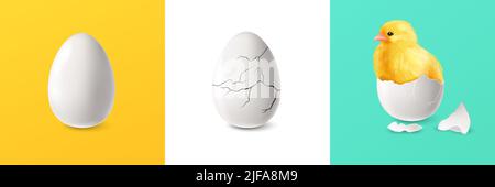 Realistic cracked egg and chicken square set isolated vector illustration Stock Vector