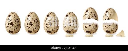 Realistic quail cracked and open egg set isolated vector illustration Stock Vector