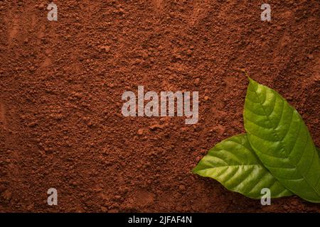 Texture of Cocoa powder with green cocoa leaf, Top view for background use Stock Photo