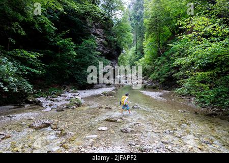 Boy hiking in Iški vintgar gorge in the vicinity of the Ljubljana, capitol city of Slovenia. Stock Photo