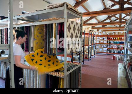 France, Var, Presqu'ile de Saint Tropez, Cogolin, the Manufacture Cogolin has been manufacturing rugs since 1924, archiving the collection of samples Stock Photo