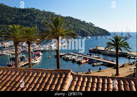 France, Var, Iles d'Hyeres, Parc National de Port Cros (National park of Port Cros), Port-Cros island, the port and village in the harbour Stock Photo