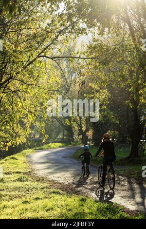 France, Var, Dracenie, Draguignan, chemin de la Clappe, vineyard circuit by bike, cyclist Stock Photo