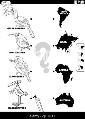 Black and white cartoon illustration of educational matching task with birds animal species characters and continents coloring page Stock Vector