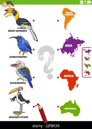 Cartoon illustration of educational matching task with birds animal species characters and continent shapes Stock Vector