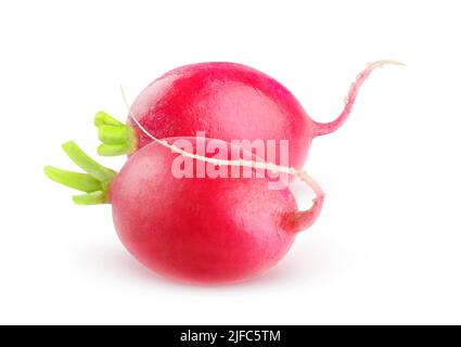 Fresh red radishes isolated on white background Stock Photo