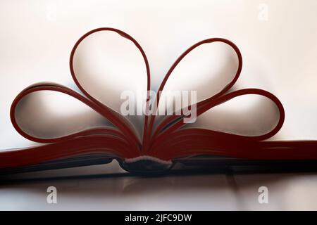 An open book isolated on white background with copyspace. Education, studying and research is the idea here. Good journalism, university publications Stock Photo