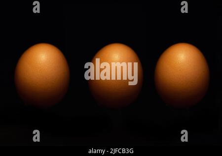 Three whole fresh eggs in a row, lined up against a dark background in studio. Boiled eggs in the shell isolated on black. Freshly laid produce from a Stock Photo