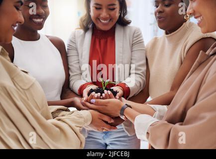 Diverse group of smiling businesswomen holding seedling in soil in hands. Ethnic team of professionals standing together, developing eco-friendly Stock Photo