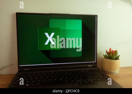 KONSKIE, POLAND - June 30, 2022: Microsoft Excel logo displayed on laptop computer screen Stock Photo