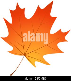 Withered maple leaf. Fallen autumn maple leaf icon. Stock Vector