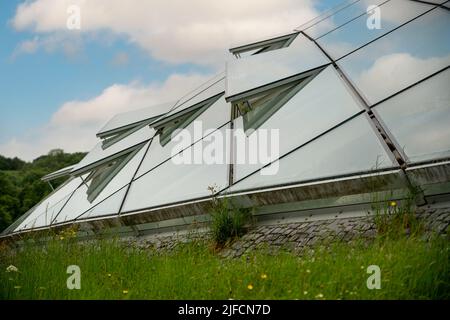 Futuristic conservatory dome of glass panels in steel joists, set into a hillside. Wales Botanic Garden world's largest single span glasshouse Stock Photo