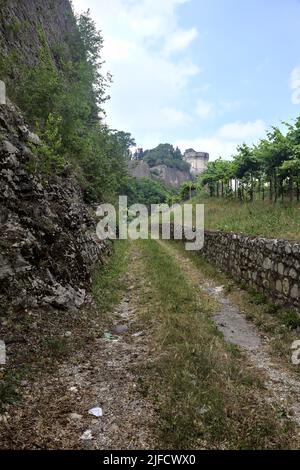 Dirt path in the middle of a vineyard with a fortification on a hill in the background Stock Photo