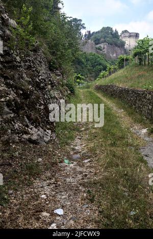 Dirt path in the middle of a vineyard with a fortification on a hill in the background Stock Photo