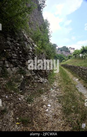 Dirt path in the middle of a vineyard with a fortification on a hill in the background Stock Photo