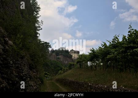 Dirt path in the middle of a vineyard with a fortification on a hill in the background Stock Photo