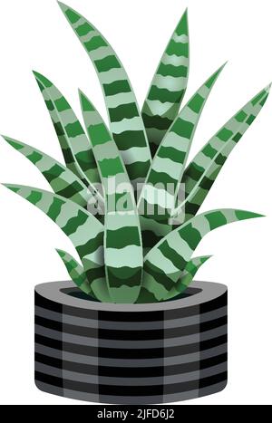 Cactus composition with isolated image of snake plant in flower pot on blank background vector illustration Stock Vector