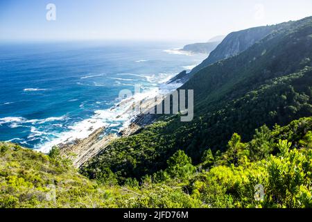 Where the steep forested Tsitsikamma Mountains meets the azure southern Indian Ocean on a clear sunny day, South Africa. Stock Photo