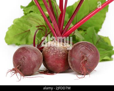 Fresh beetroots with leaves, Beta vulgaris, isolated on white background, healthy organic root vegetable with lots of vitamins and minerals Stock Photo