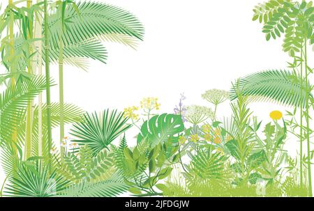 Tropical plants in nature, world natural heritage, landscape illustration Stock Vector