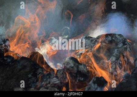 Wooden logs burning in a bonfire Stock Photo