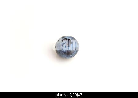 Single blueberry berry isolated on white background. Blueberry with clipping path. Full depth of field. Stock Photo