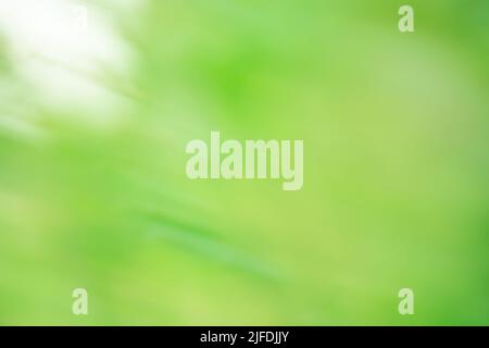 Motion blurred defocused abstract green background. Green  abstract defocused motion blurred background. Stock Photo