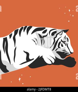 Hand drawn vector abstract graphic cartoon illustration with beauty cute celestial trendy wildlife white,cute moon tiger,moon and stars isolated on Stock Vector