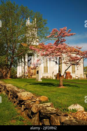 Spring trees such as dogwoods blossom in front of a New England style church ringed by a stone wall Stock Photo